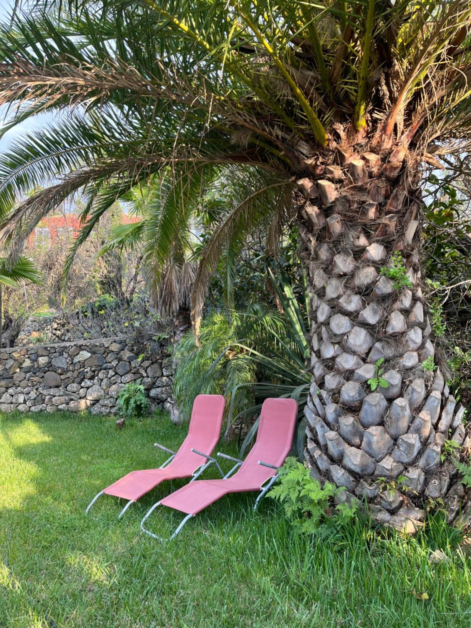 Feriendomizil Finca Tijarafe Mit Beheiztem, Abdeckbarem Pool Eksteriør billede